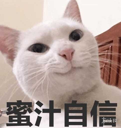 七鱼网