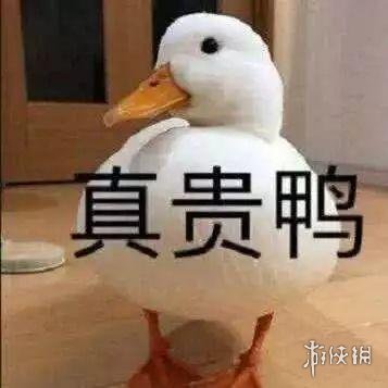 七鱼网