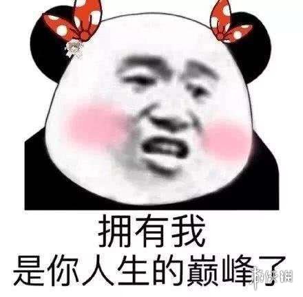 七鱼网5