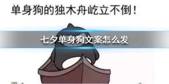 七鱼网1