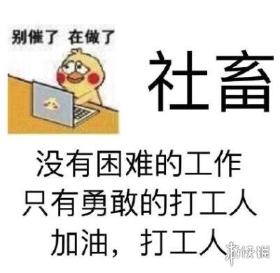 七鱼网5