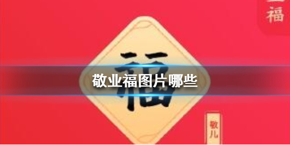 七鱼网1