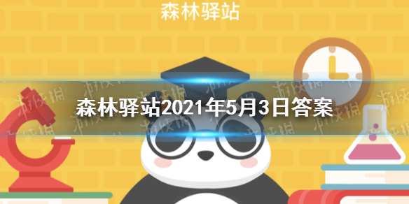 长臂猿有尾巴吗 森林驿站2021年5月3日答案