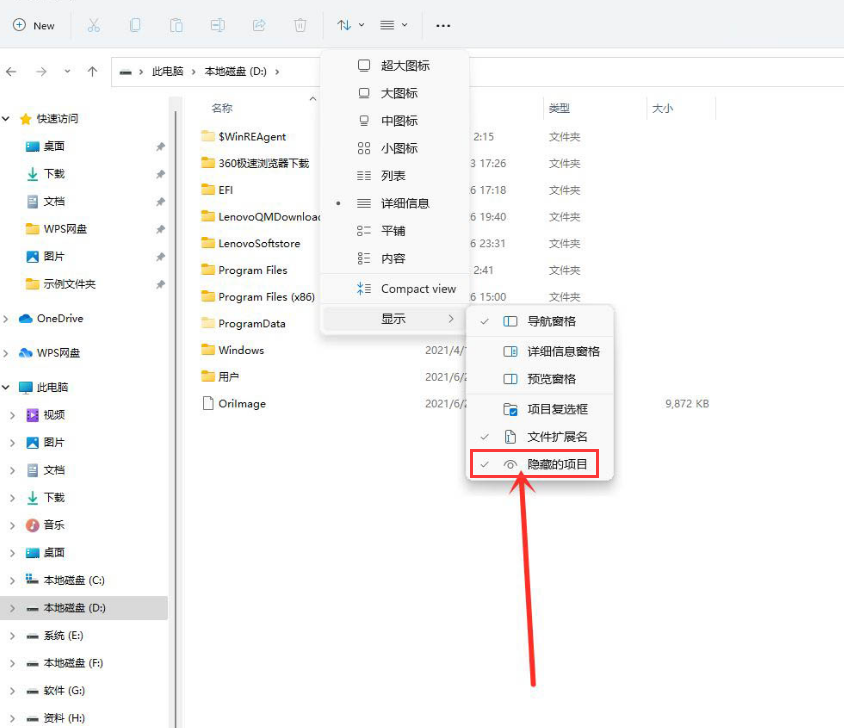 Windows11怎么查看隐藏项目,Windows11查看隐藏项目的方法插图2