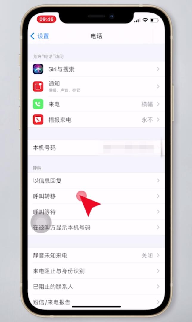 呼叫转移怎么取消插图8