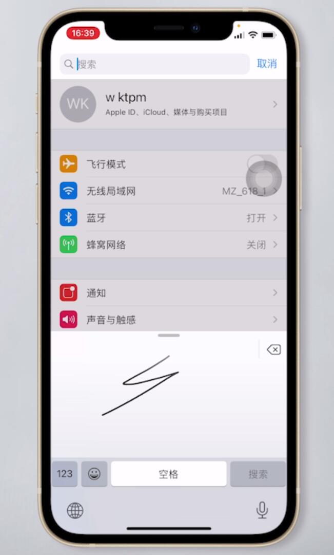 苹果手机怎么手写输入插图4