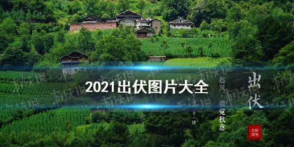 出伏图片大全 出伏朋友圈图片2021