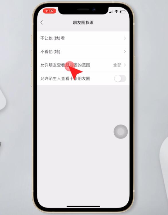 苹果手机怎么设置朋友圈三天权限插图5