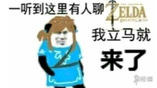 七鱼娱乐网2