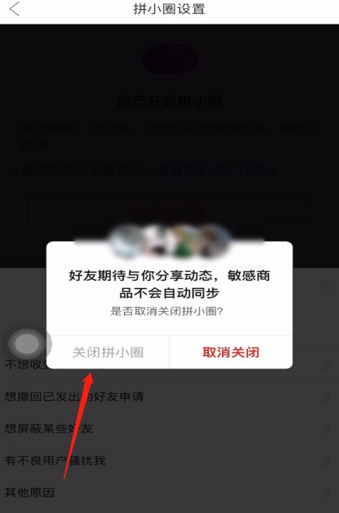 拼多多怎样禁止拼单动态同步到拼小圈,拼多多教程插图6