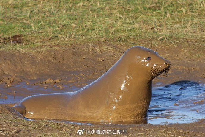 2021福利汇总第125期：小雨微凉