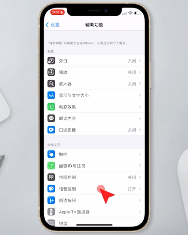苹果关闭辅助人工语音插图2