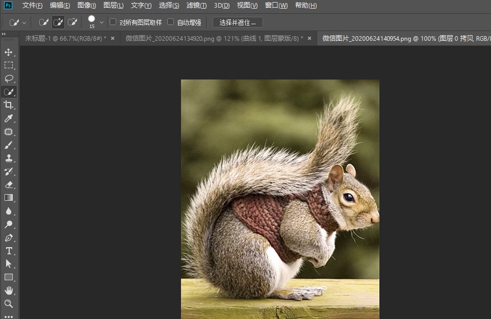 photoshop怎么快速抠动物毛发,PS抠取动物毛发的实用技巧插图