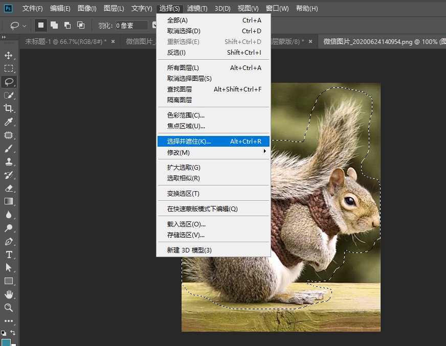 photoshop怎么快速抠动物毛发,PS抠取动物毛发的实用技巧插图2