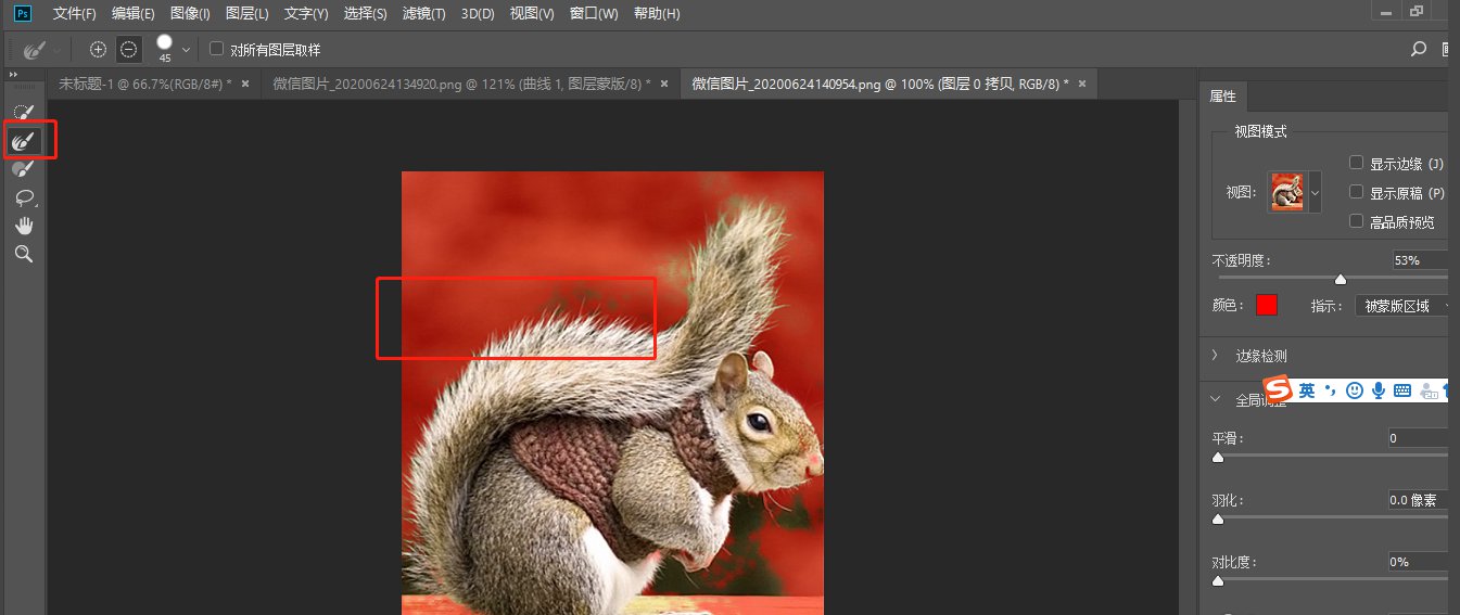 photoshop怎么快速抠动物毛发,PS抠取动物毛发的实用技巧插图3