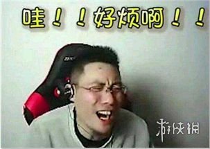 七鱼网