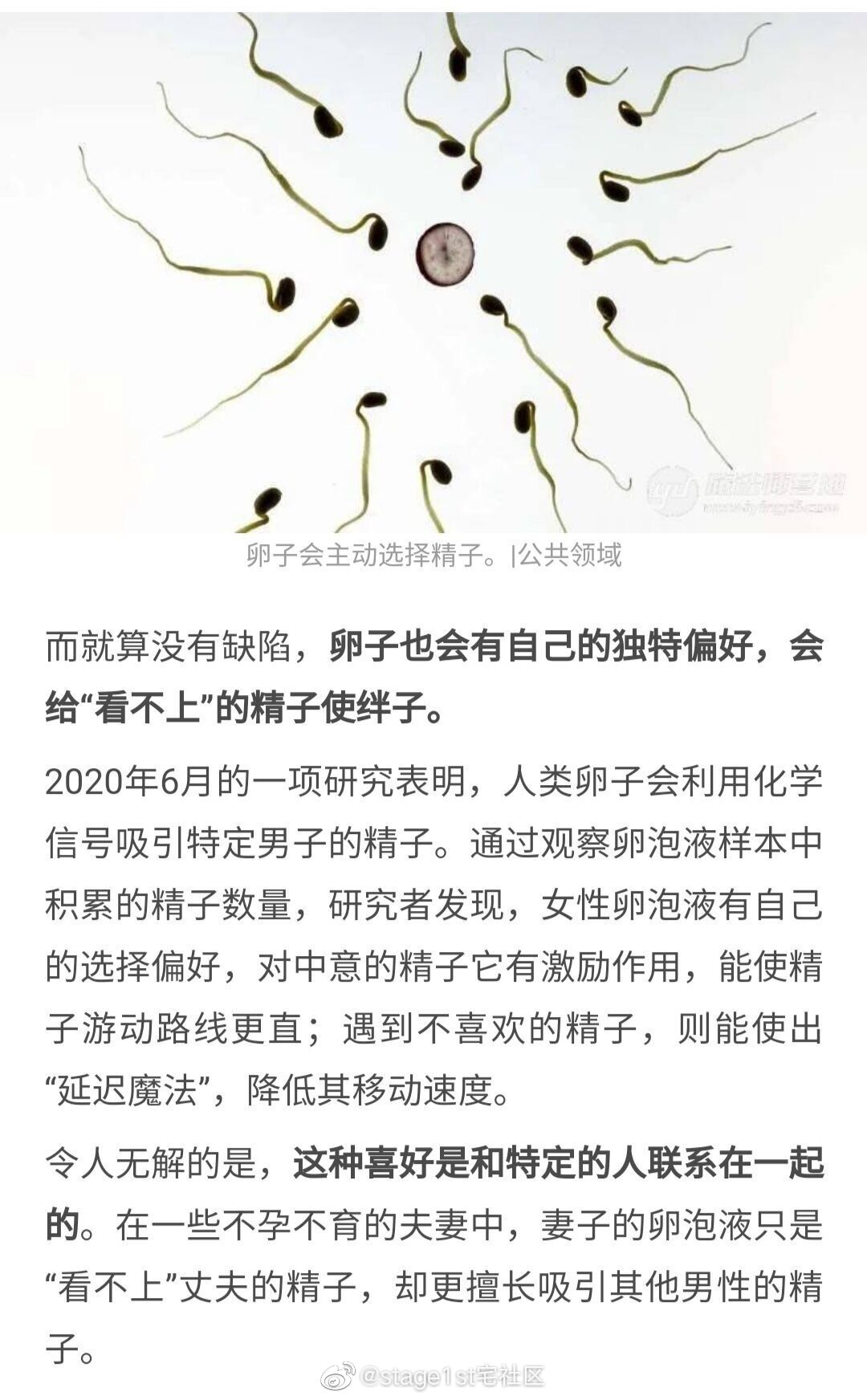 2021福利汇总第164期：帆布包