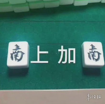 七鱼网11