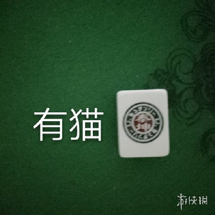 七鱼网14