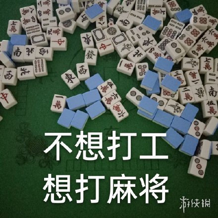 七鱼网15