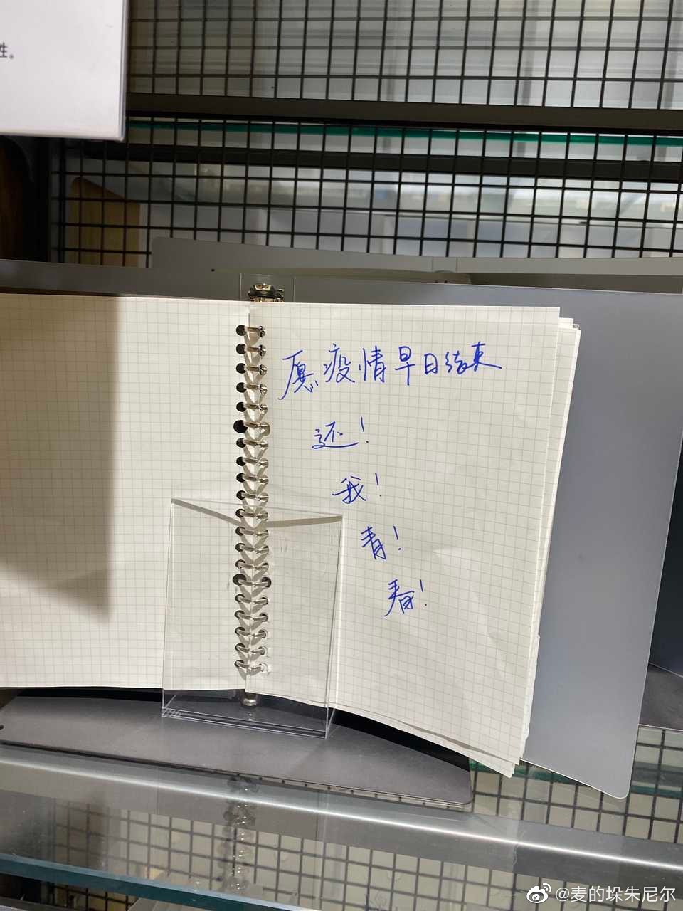 2022福利汇总第51期 ：可以看看你的腿嘛