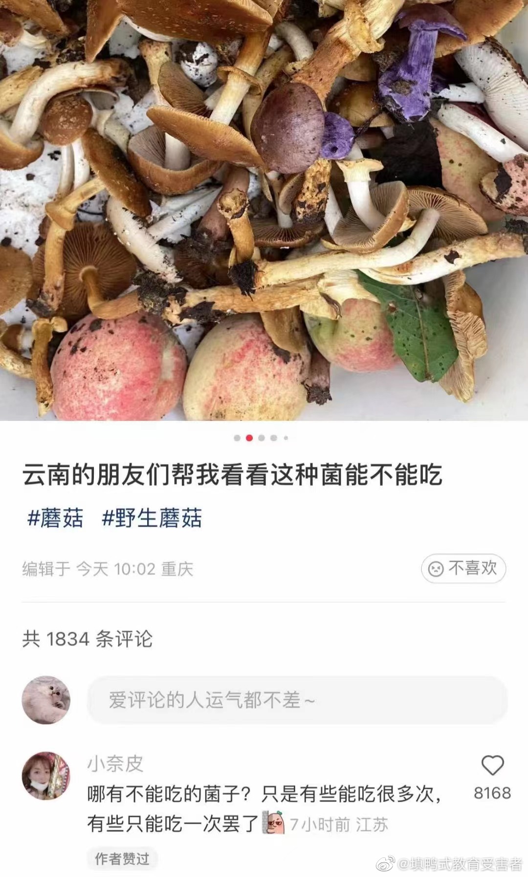 2022福利汇总第79期 ：高考加油