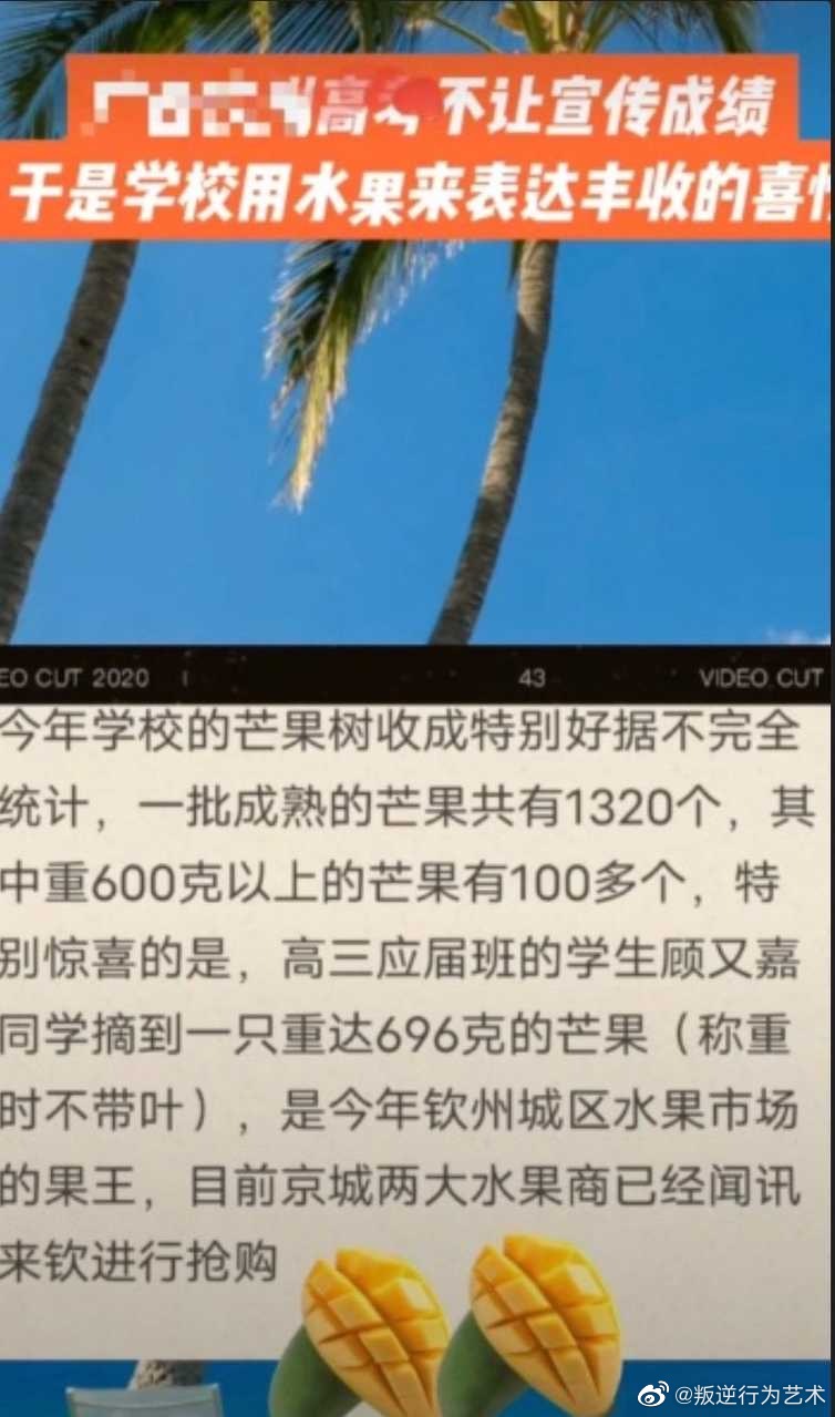 2022福利汇总第91期 ：背面基地